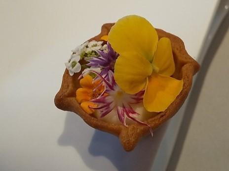 Menu misola(ランチ) フィナンシェ　タルト