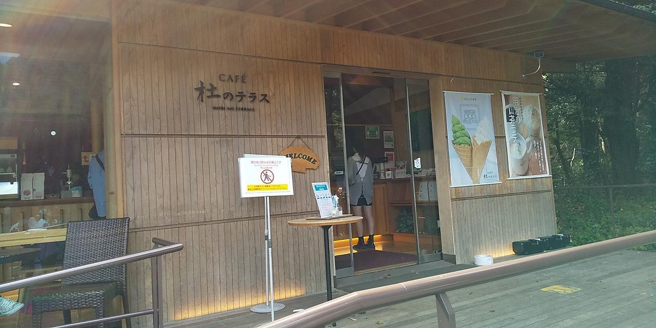 CAFÉ「杜のテラス」