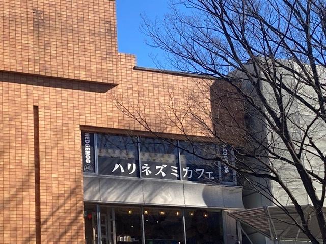 ハリネズミカフェ HARRY 原宿駅前店/ハムスターカフェ mogumogu