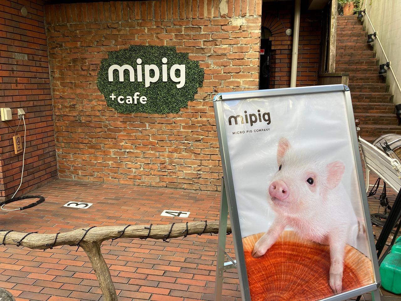 mipig（マイピッグ） + cafe 原宿