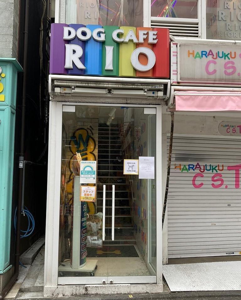 犬カフェRIO 原宿竹下通り店