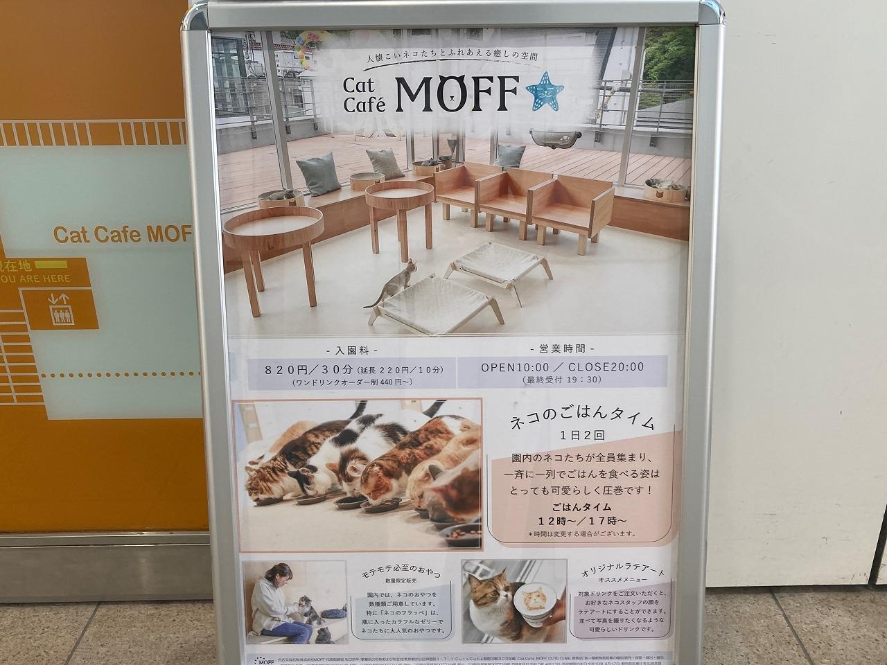 Cat Café MOFF CUTE CUBE 原宿店（キャットカフェ　モフ）