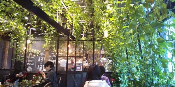 青山フラワーマーケット グリーンハウス 南青山本店 （Aoyama Flower Market GREEN HOUSE）